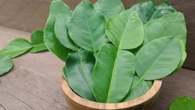 3 Tips Menyimpan Daun Jeruk agar Tahan Lama