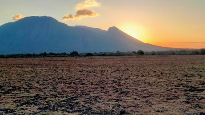 Savana Bekol Taman Nasional Baluran Situbondo