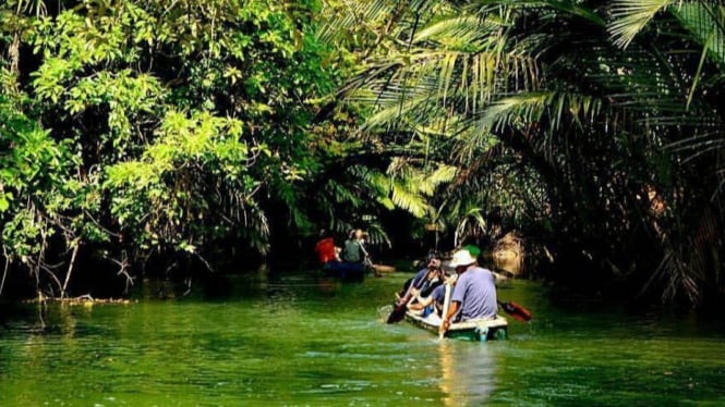 Amazon rasa lokal, Sungai Cigenter, Ujung Kulon, Pandeglang