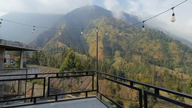 Rekomendasi Cafe Dekat Bromo cocok nongkrong akhir tahun