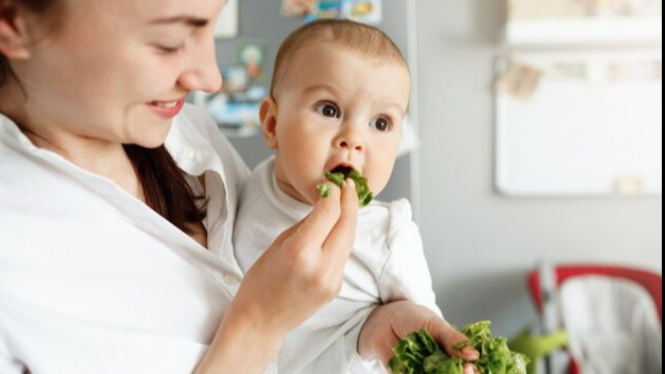 Sayuran yang Wajib Ada di Menu MPASI_ Nutrisi Penting untuk Si Kecil