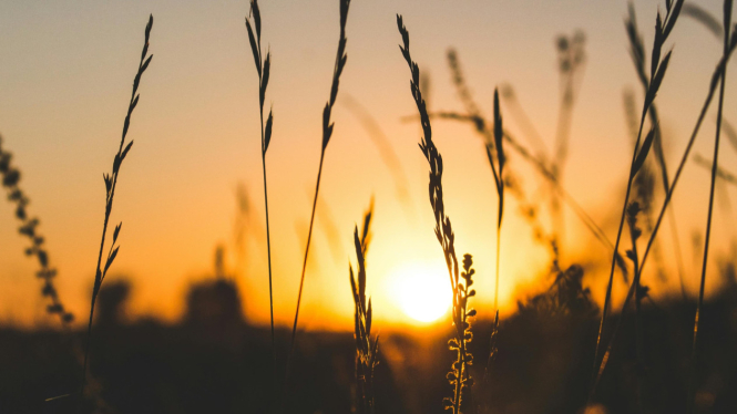 Istilah golden hour adalah waktu matahari terbit atau tenggelam