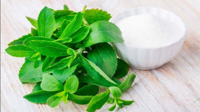 Daun Stevia sebagai pemanis alami pengganti gula