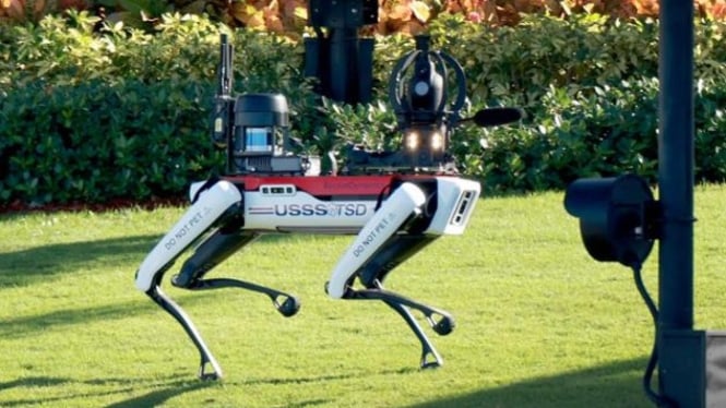 Ilustrasi  anjing robot yang diproduksi oleh Boston Dynamics