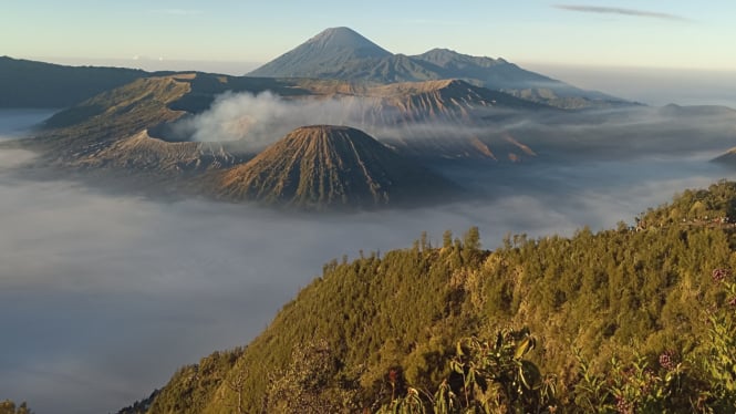 Destinasi wisata di Jawa Timur yang wajib dikunjungi