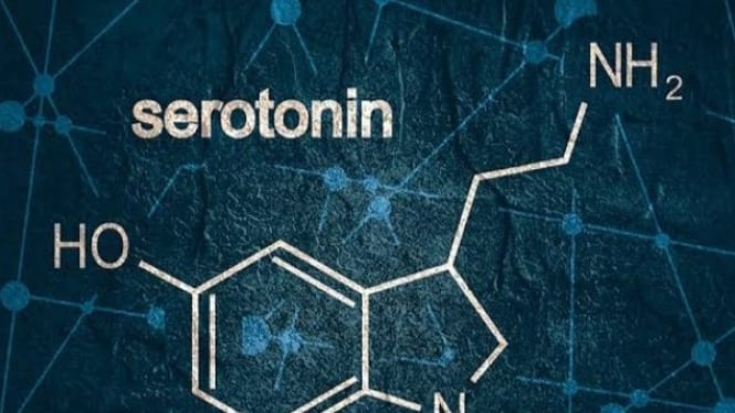 Jumlah hormon serotonin seseorang dapat mempengaruhi hati