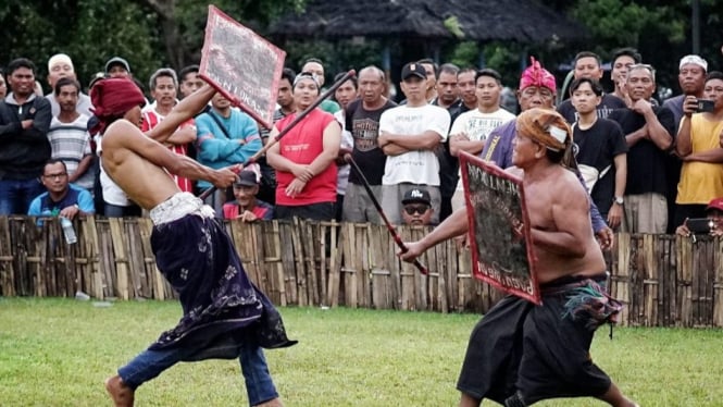 Mengenal Tradisi Peresean Budaya Suku Sasak Lombok