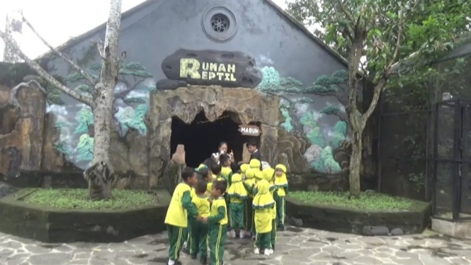 Libur Panjang, Rumah Reptil Di Jember Dipadati Wisatawan