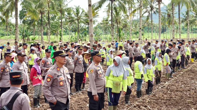 Dukung Program Nasional Penanaman 1 Juta Hektare Jagung