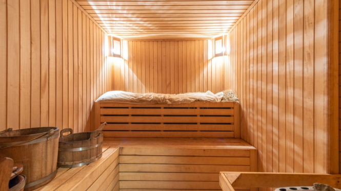 Ilustrasi Sauna