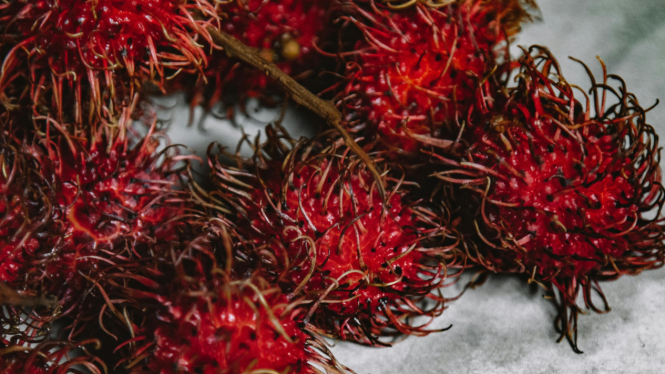 Musim rambutan biasanya terjadi dari bulan januari sampai maret