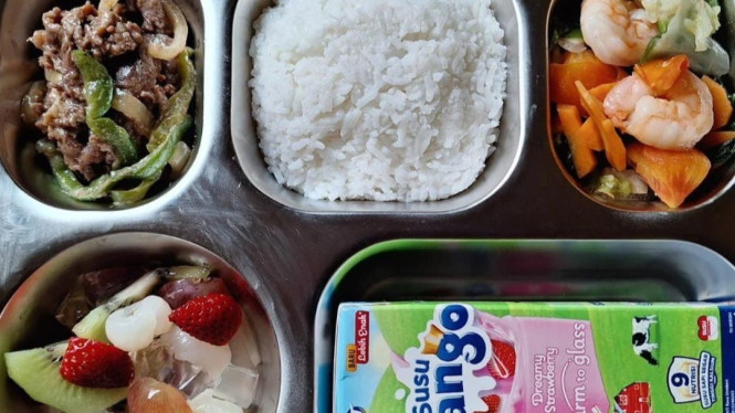 Menu makanan program gizi gratis
