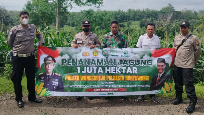 Program Ketahanan Pangan: Sinergi TNI Polri dan Petani