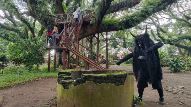 De Djawatan: Hutan Lord of The Rings dan Misteri Sumur Tua