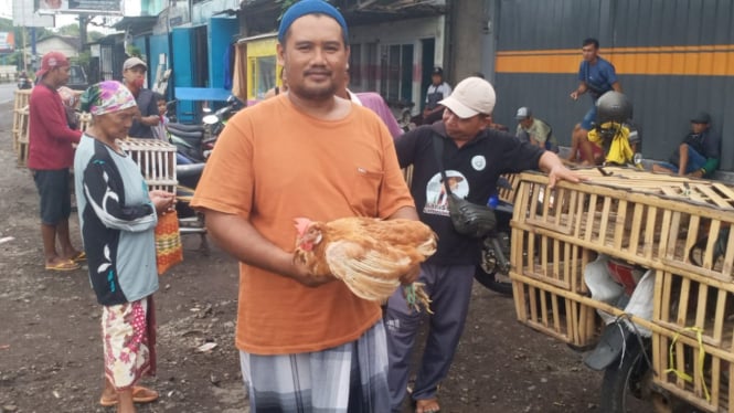 Harga Ayam Kampung Melonjak Jelang Ramadhan