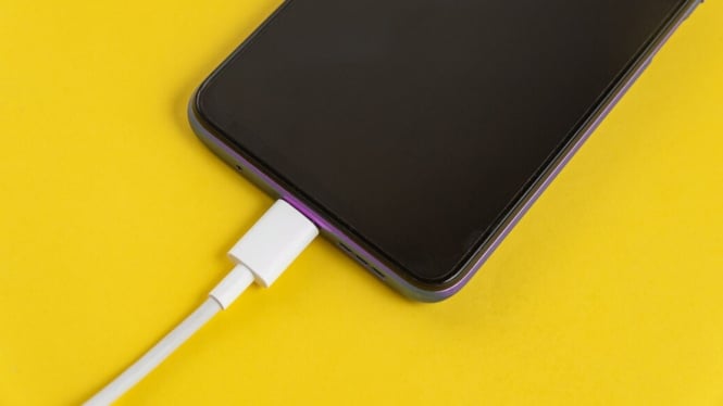 Ilustrasi Port Charger Smartphone