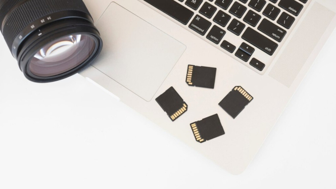 Ilustrasi Gadget dan SD Card