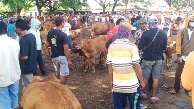 Pasar Hewan Desa Bajulmati Kembali Ramai