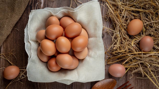 Telur ayam yang kualitasnya baik