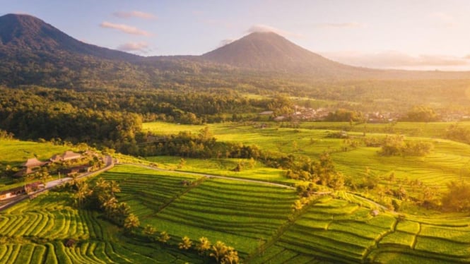 Desa wisata jatiluwih di lereng Batukaru