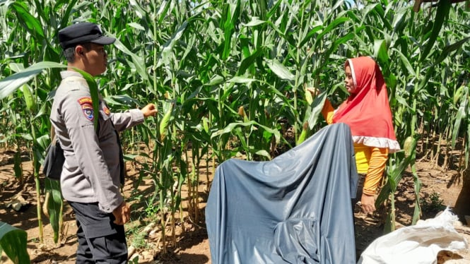 Peran Aktif Bhabinkamtibmas Polresta Banyuwangi