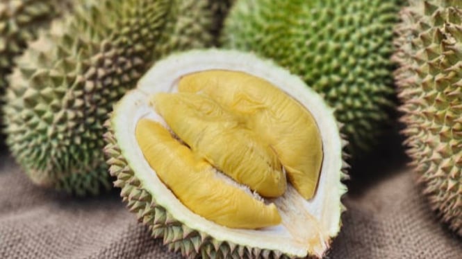 Khasiat durian