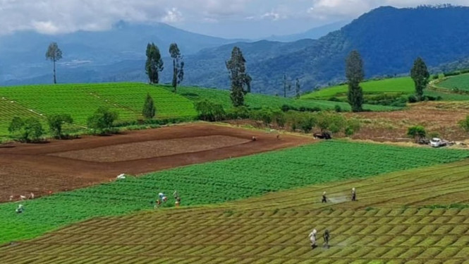 Agrowisata Brakseng Kota Batu