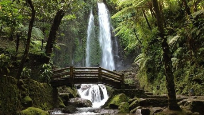 Hijau segar dan asri, indahnya air terjun Jumog