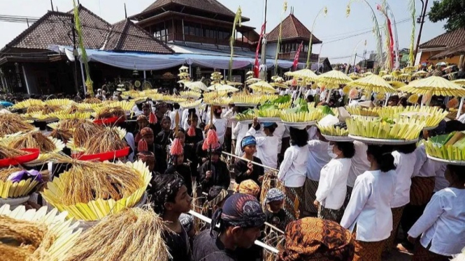 Prosesi Ngajayak – Warga membawa hasil panen ke leuit indung