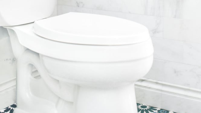 Ilustrasi toilet duduk yang tertutup