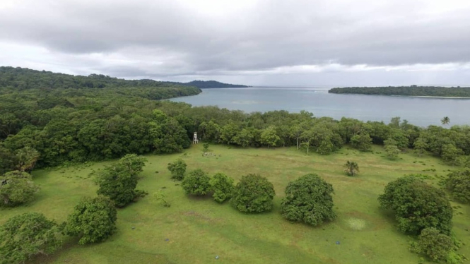 Pemandangan di Pulau Peucang, Taman Nasional Ujung Kulon
