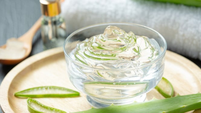 Lidah Buaya: Gel Ajaib untuk Kulit dan Pencernaan Sehat