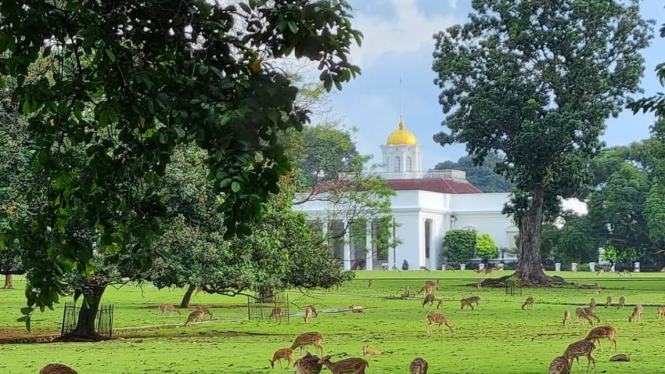 View di Istana Bogor, tempat wisata gratis di Bogor