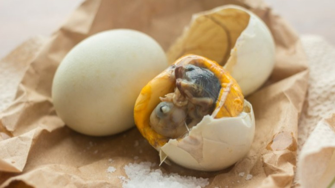 Deretan makanan ekstrem di dunia, berani coba?