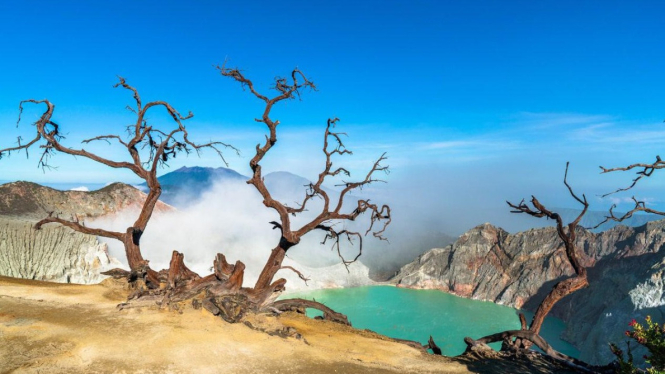 Satu tempat seribu pesona itulah Banyuwangi