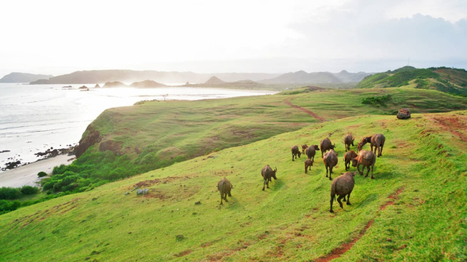 Bukit Merese Lombok, menawarkan pemandangan spekta