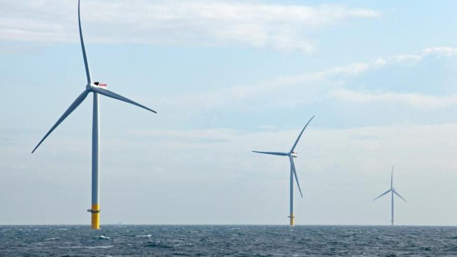Offshore Windfarm Menjadi Jawaban Bagi Krisis Iklim Yang Terjadi