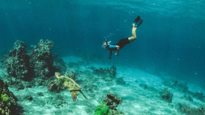 wisata laut indonesia untuk snorkeling