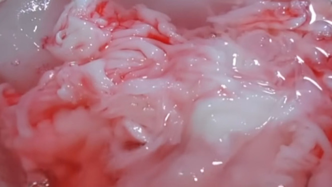 Rekomendasi Es Kopyor Agar-agar, Minuman Segar wajin dicoba