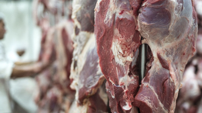 Cara tepat menyimpan daging kurban tetap segar.