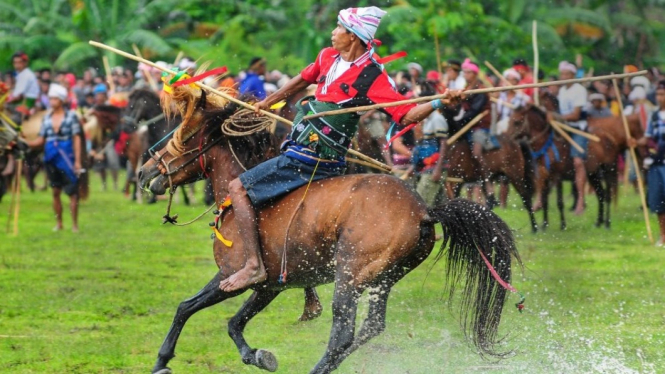 Ksatria Sumba bertarung dalam Pasola.