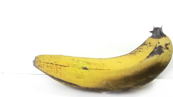 kulit pisang yang terlihat mulai menghitam