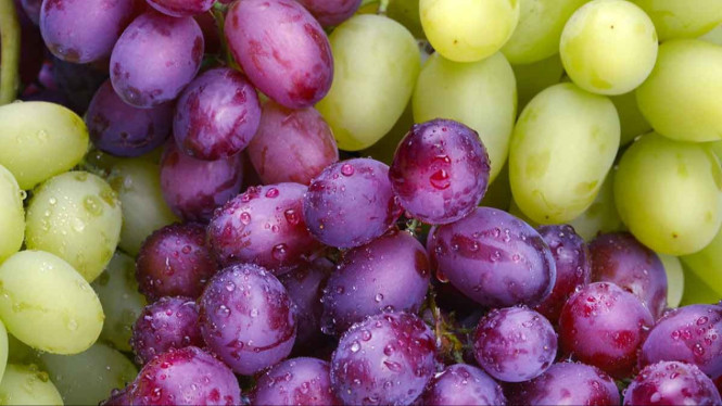 Manfaat buah anggur bagi kesehatan