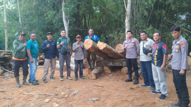 Petugas gabungan gebek tempat gergajian.