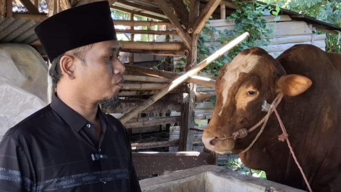 Wapres Gibran Berikan Sapi Kurban Seberat Satu Ton Lebih