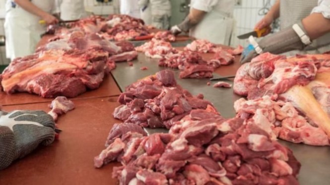 Ilustrasi Daging Kurban