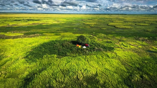 Taman Nasional Wasur, destinasi wisata Papua Selatan