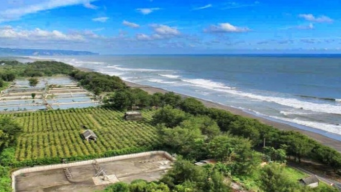 Perkebunan dan Pantai cocok untuk liburan