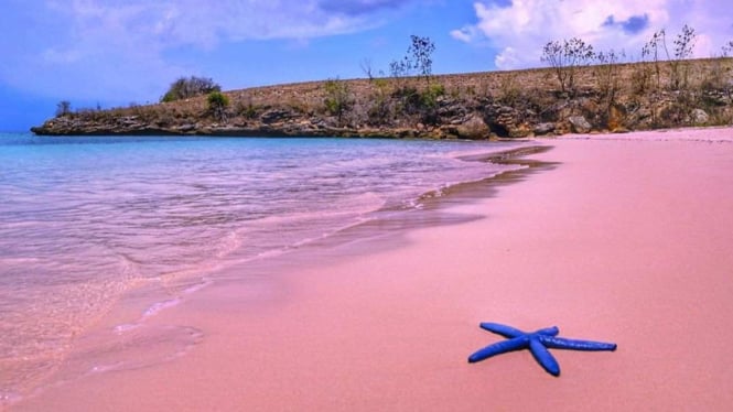 Pemandangan indah di Pantai Pink, Lombok