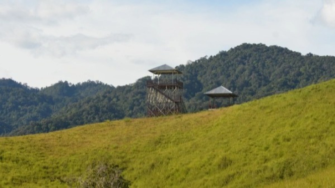 Padang Rumput Long Tua Terletak di Taman Nasional Kayan Mentarang